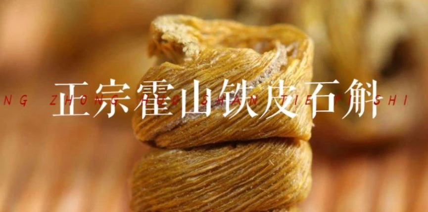 霍山石斛小百科 | 你真的认识霍山石斛吗？