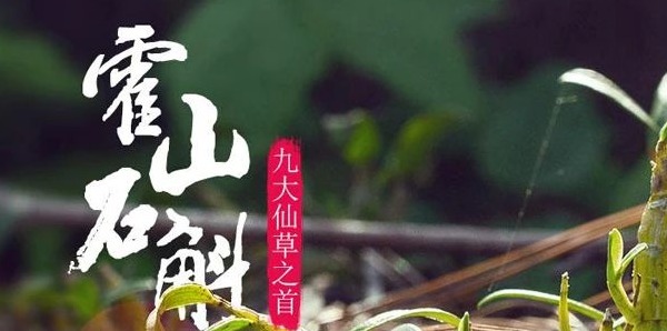 皖西生物 | 很高兴认识你~
