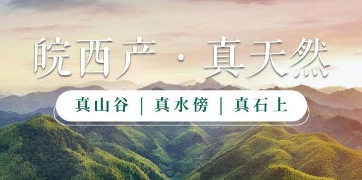 食斛百科 | 你知道吗？石斛枫斗磨粉还能这么吃