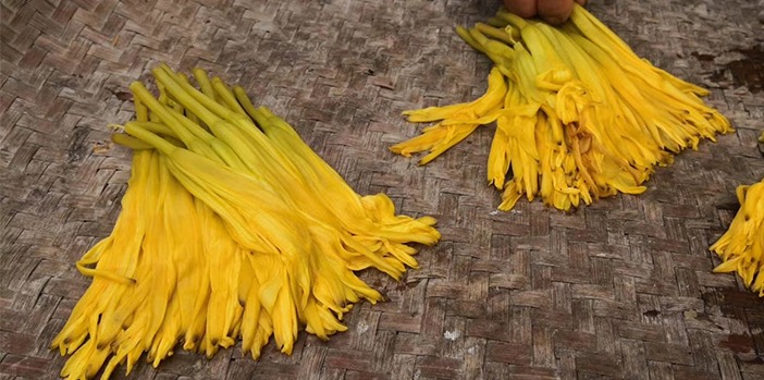 金寨黄花菜