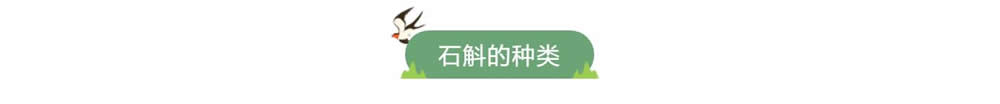 微信图片编辑_20230625144321.jpg