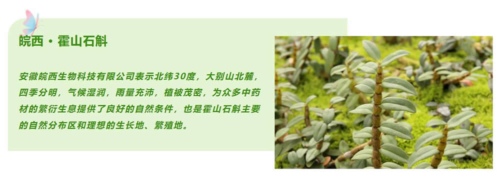 微信图片编辑_20230625142237.jpg