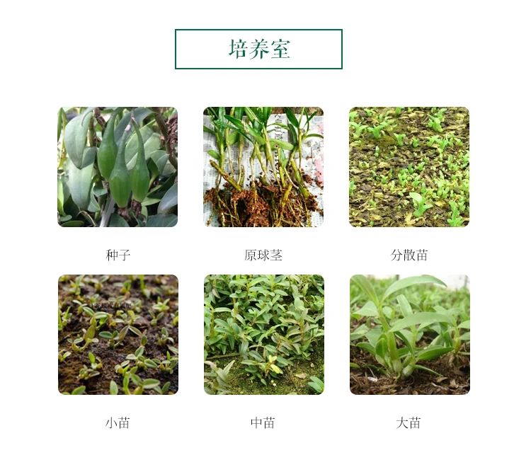 微信图片_20230625152053.jpg