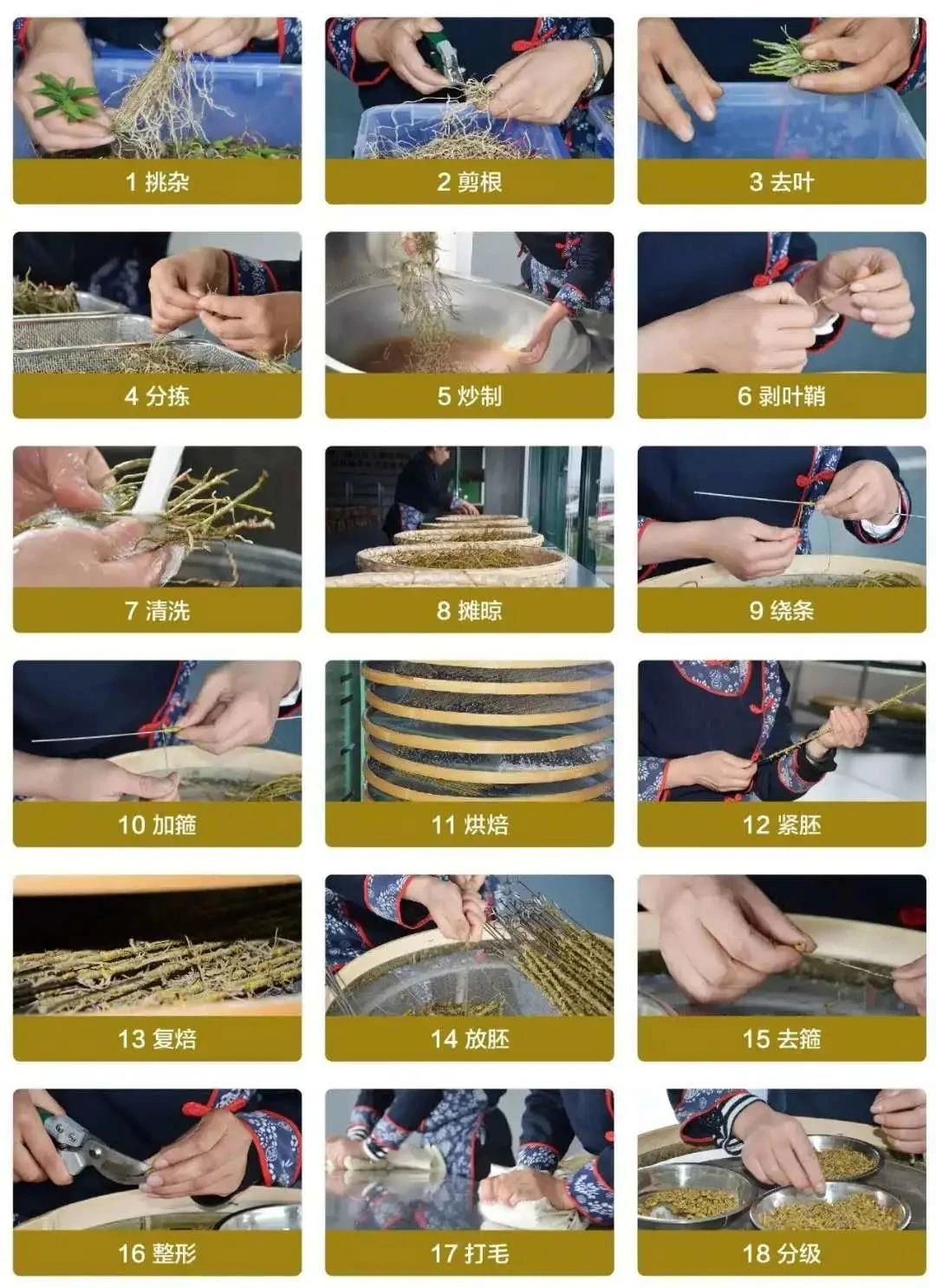 微信图片_20230625155139.jpg