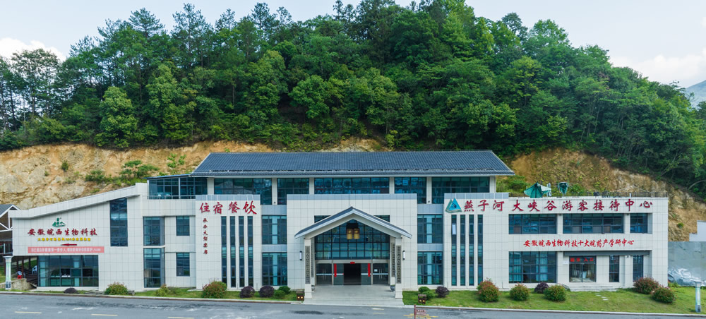 DJI_0915.jpg