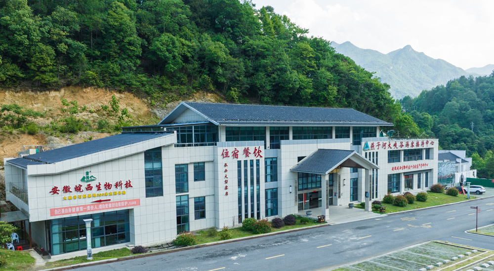 DJI_0917.jpg